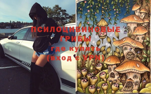 соль ск Горнозаводск